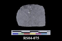 藏品(石灰岩)的圖片